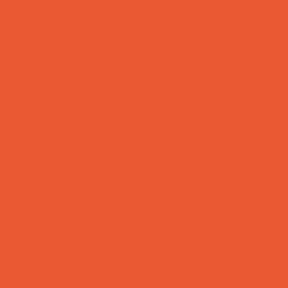 2013-20 Orange Nectar - Paint Color | Elora Home Hardware